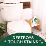 Load image into Gallery viewer, Toilet Bowl Cleaner, Fresh Mint Scent, 24 Oz Bottle
