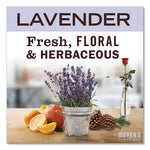 Load image into Gallery viewer, Clean Day Hand Lotion, 12 Oz Pump Bottle, Lavender

