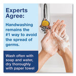 Load image into Gallery viewer, Premium Extra Mild Foam Soap, Sensitive Skin, Unscented, 1 L, 6/carton
