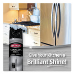 Load image into Gallery viewer, Stainless Steel Cleaner And Polish, 17 Oz Aerosol Spray
