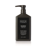 Load image into Gallery viewer, Shampoo, Warm Oak, 12.2 Oz Bottle, 12/carton
