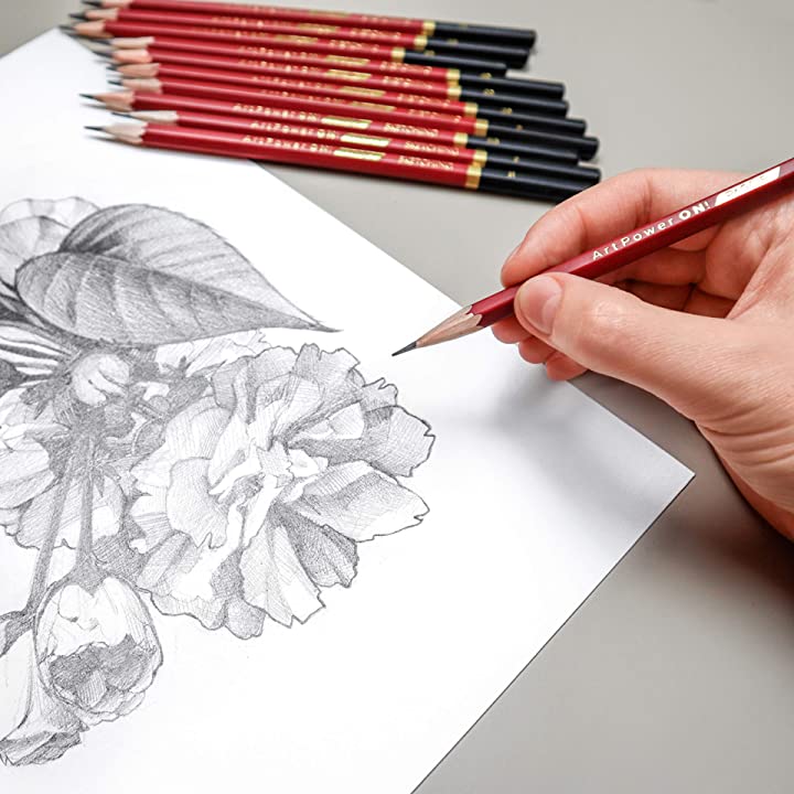  Pagos Sketching Pencils – 12 Pieces Professional Graphite  Pencil Set for Drawing – 2H, H, F, HB, B, 2B, 3B, 4B, 5B, 6B, 7B, 8B Art  Travel Set - Shading